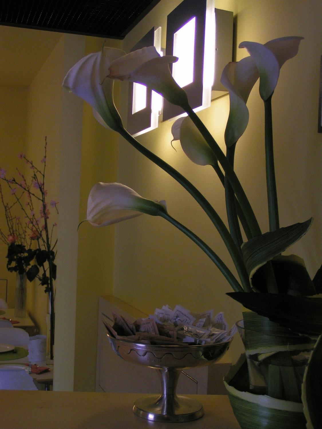 Hotel Verdi 3*